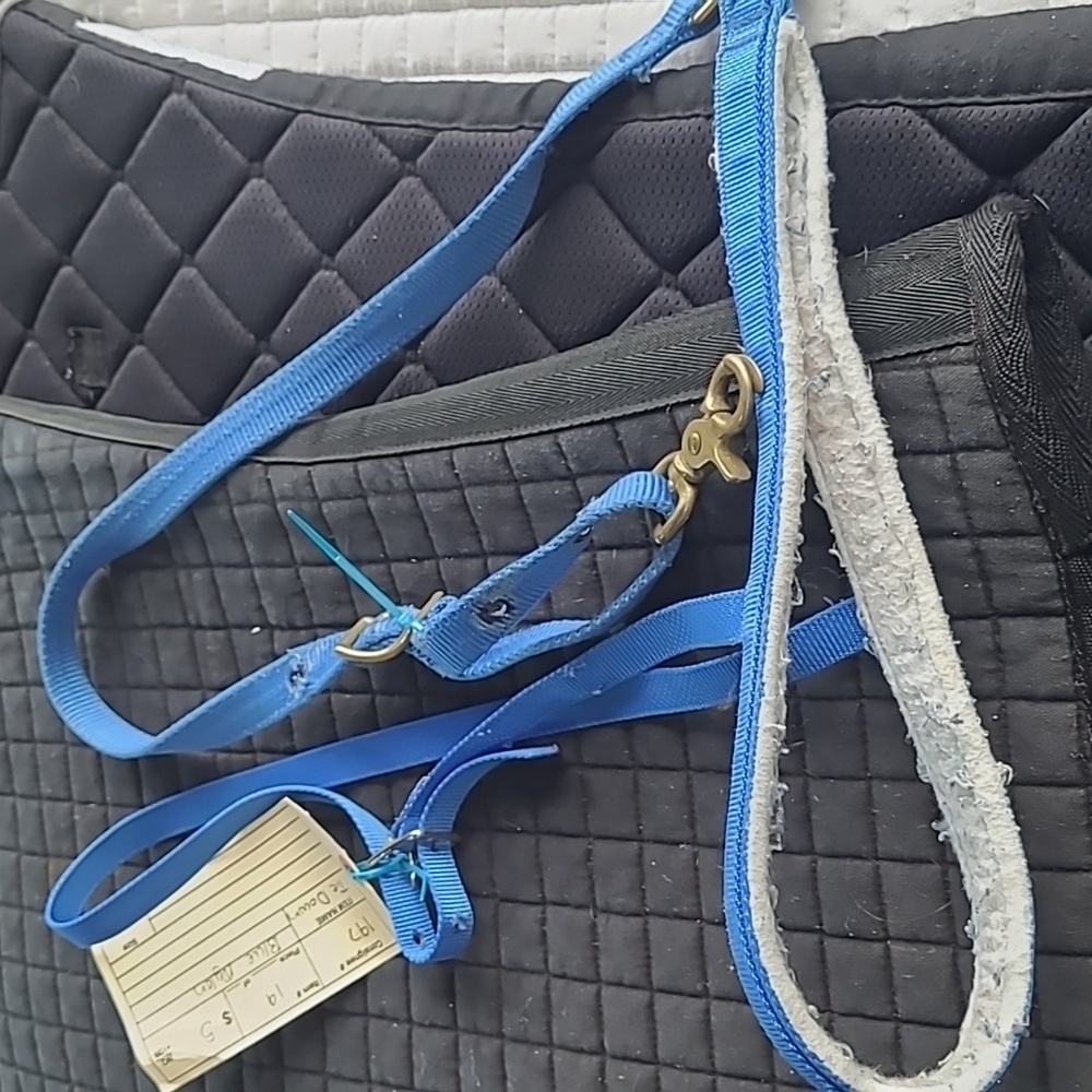 Blue nylon Western tie down